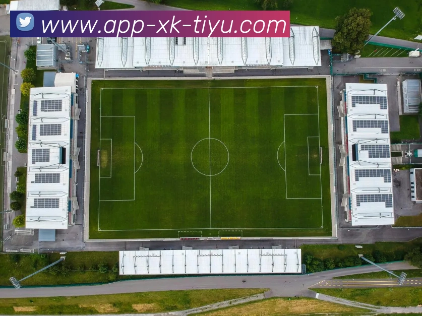 星空体育平台生态图