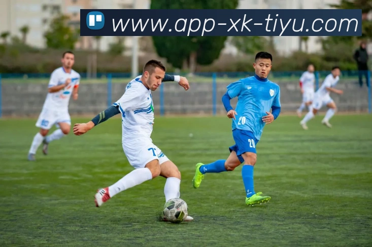 星空体育APP 封面图