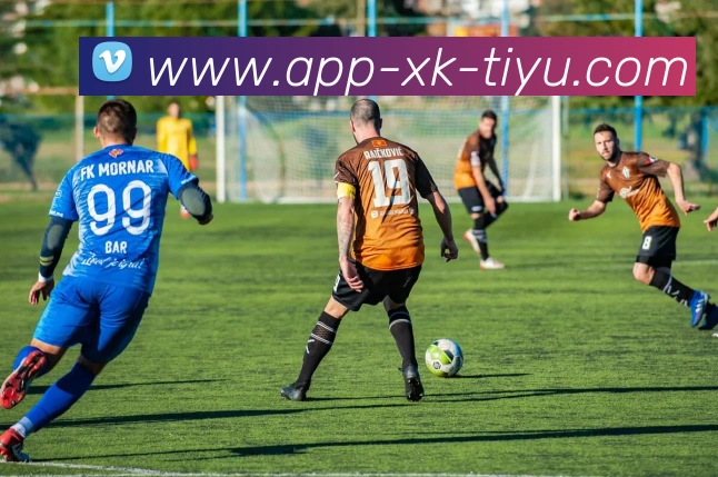 数据防护可视化